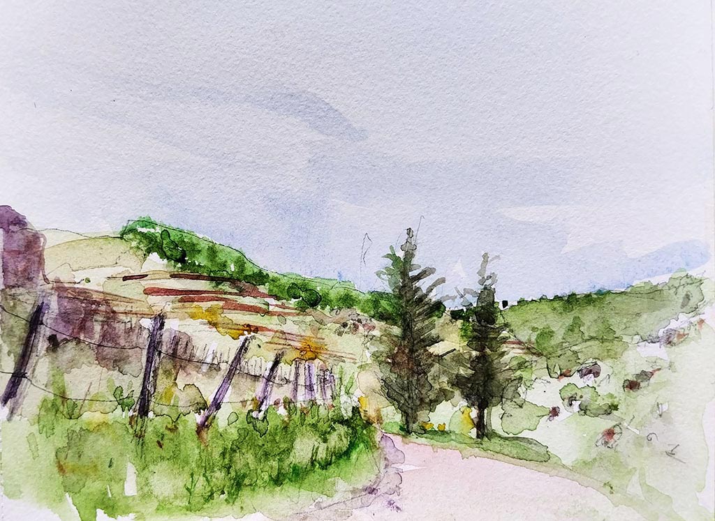 ..//IMG/jpg/aquarelles/aquarelle_256_Cevennes_Gourdouze_paysage_chemin_vert_2025.jpg