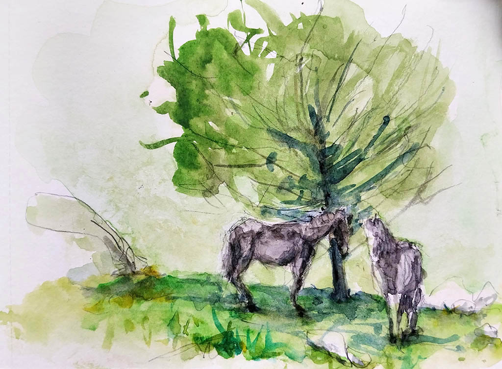 ..//IMG/jpg/aquarelles/aquarelle_258_Cevennes_Gourdouze_portrait_chevaux_noir_2025.jpg