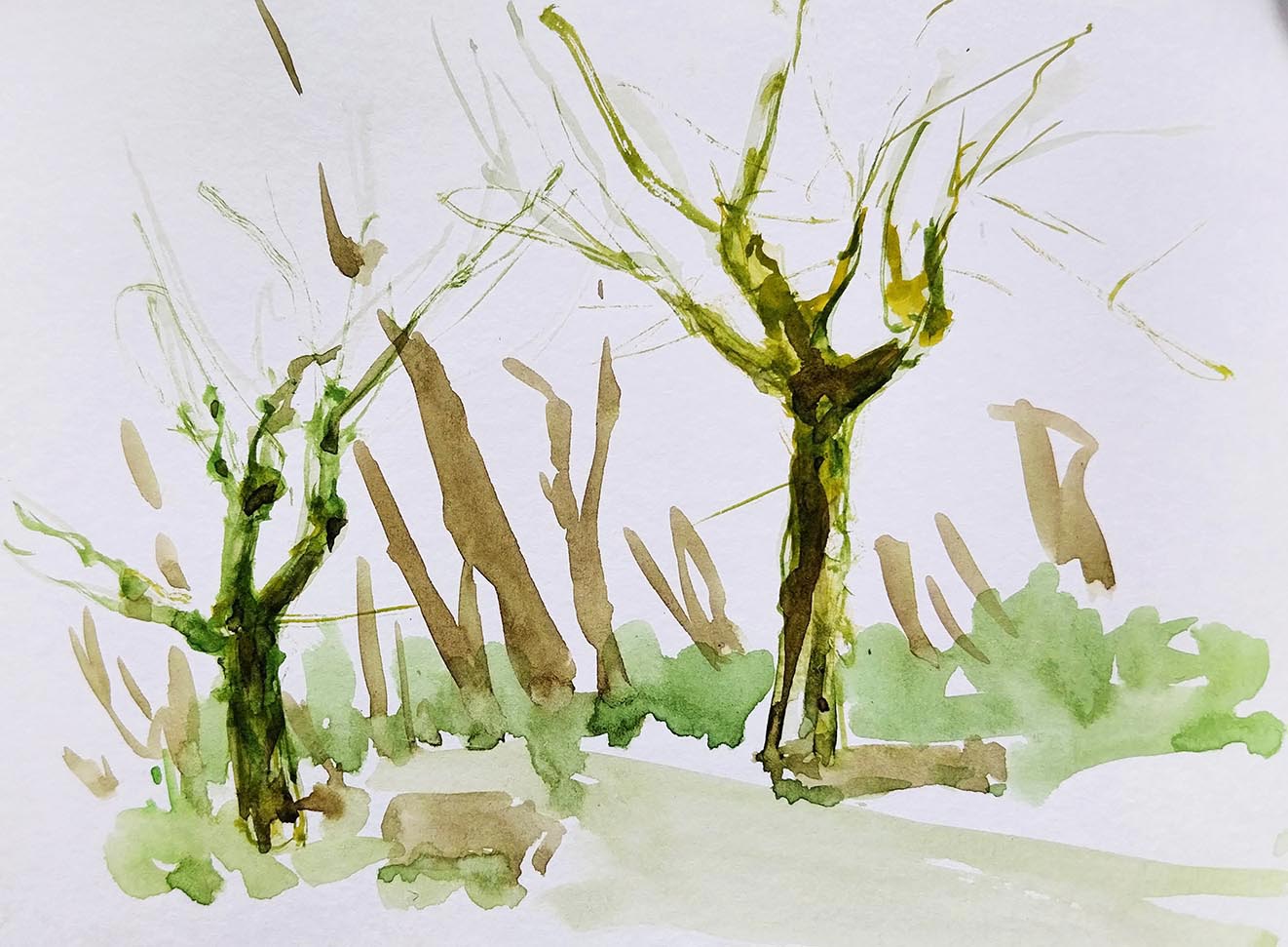 ..//IMG/jpg/aquarelles/aquarelle_263_Cevennes_Gourdouze_paysage_arbres_vert_2025.jpg