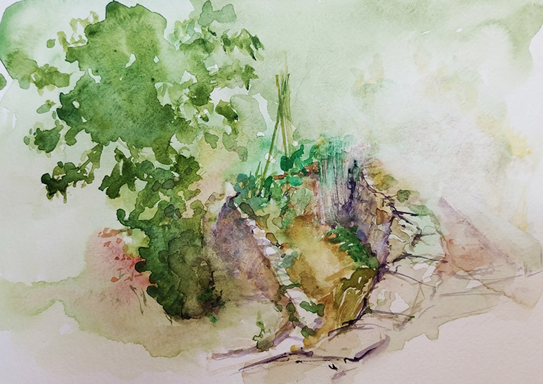 ..//IMG/jpg/aquarelles/aquarelle_269_Cevennes_Brouzet_paysage_jardin_vert_2025.jpg