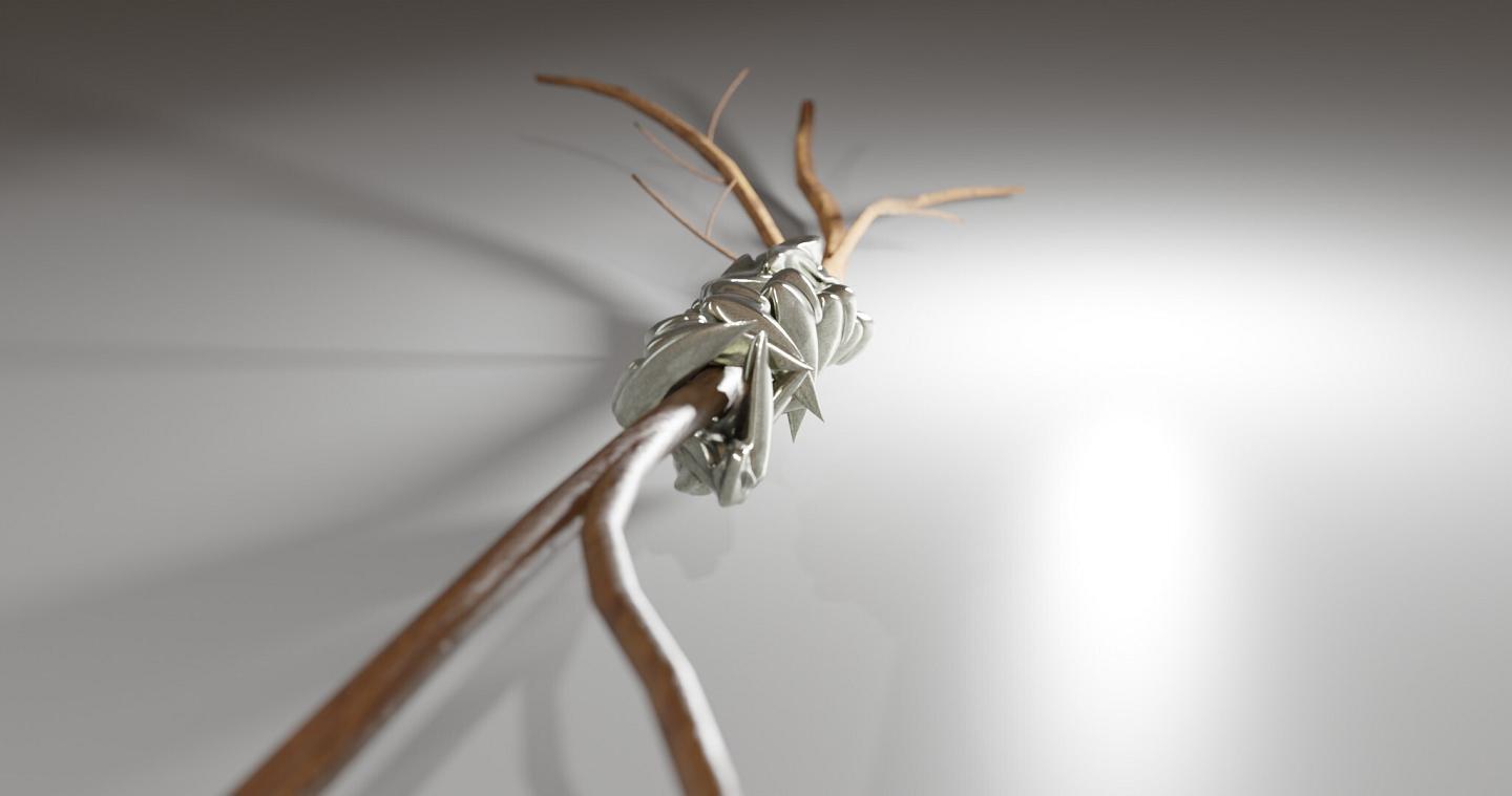 Branching is a series of sculptures that connect imaginary bone structures with different types of wood. The bones are imagined as articulations between woods of distinct variety. These sculptures propose a hybridization that summons nature to create an unnatural dialogue. Often made of metal (stainless steel), the bone evokes a prosthesis, while its shape refers to the organic development of the body’s bone structures.